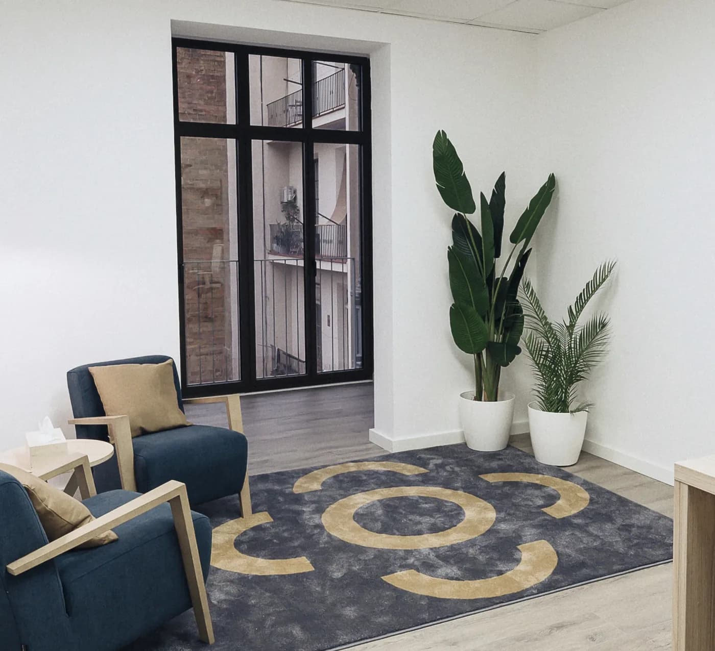 Iterias therapy space designed to convey warmth and professionalism.